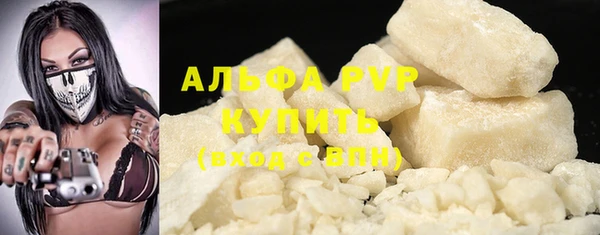 шишки Дмитриев