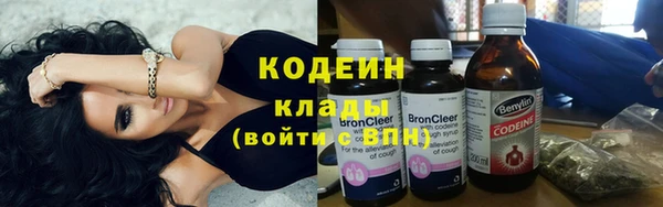 шишки Дмитриев