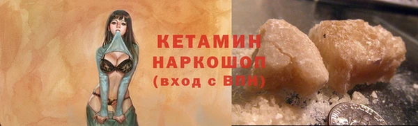 шишки Дмитриев
