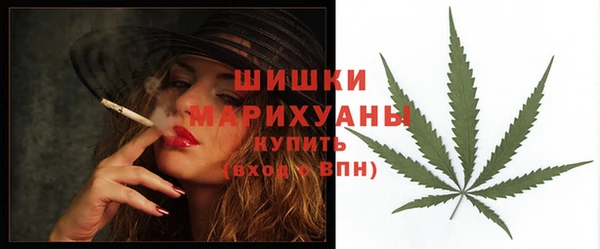 шишки Дмитриев