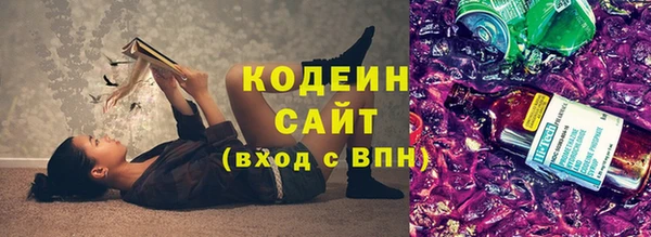шишки Дмитриев