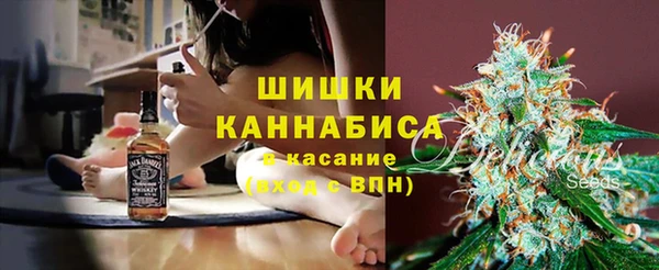 шишки Дмитриев