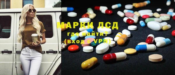 шишки Дмитриев