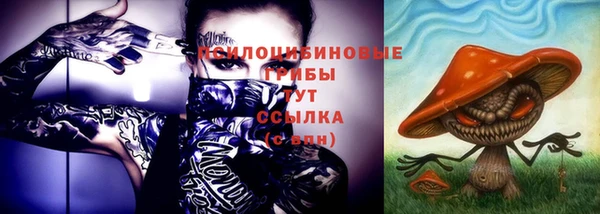 метадон Гусев