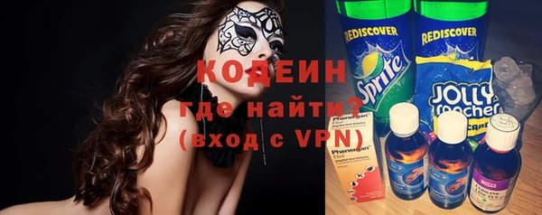 шишки Дмитриев