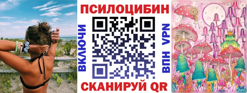 Купить закладки  Бугуруслан  Псилоцибиновые грибы Cubensis 